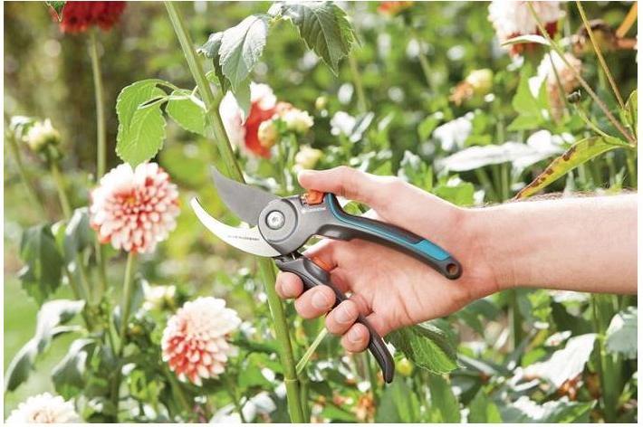Actual product image Gardena B/S-Xl