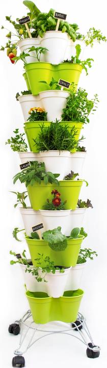 Hexagro Poty Kit L Smart Gardening