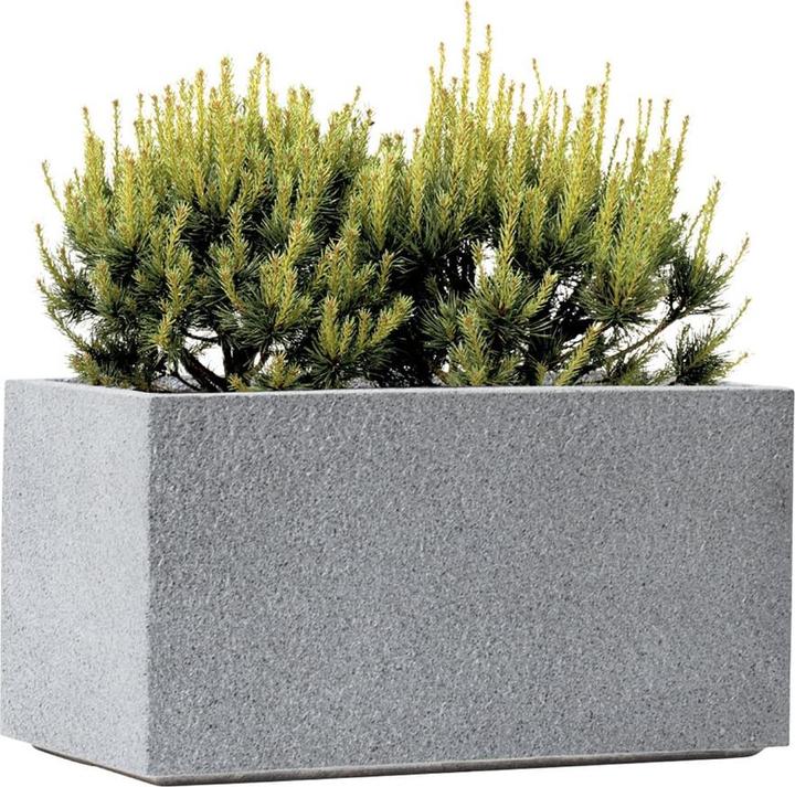 Actual product image Kirschke Rockline (37 cm)
