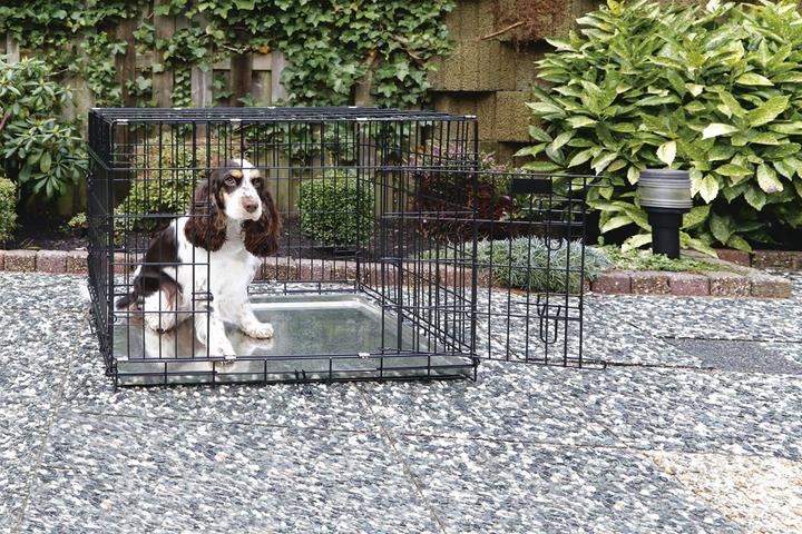 Immagine prodotto Beeztees Scatola a rete (Cane, Chiudibile a chiave)