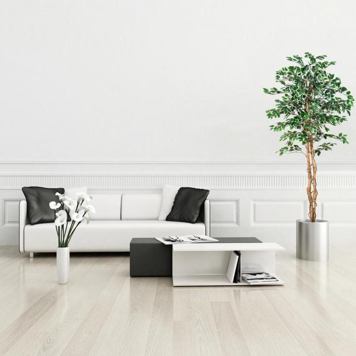 Image du produit Plantasia Ficus Benjamin (190 cm)