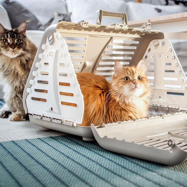 Image du produit Rotho TOBY Boîte de transport pliable avec roulettes (Chien, Chat, Pliable)