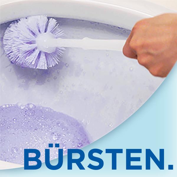 Actual product image WC-Ente Lavendel