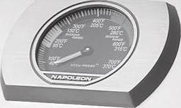 Immagine prodotto Napoleon Rogue XT 425 SIB Edelstahl (17.25 kW)