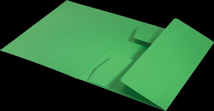 Actual product image Leitz Jurismappe (A4, 1 x)