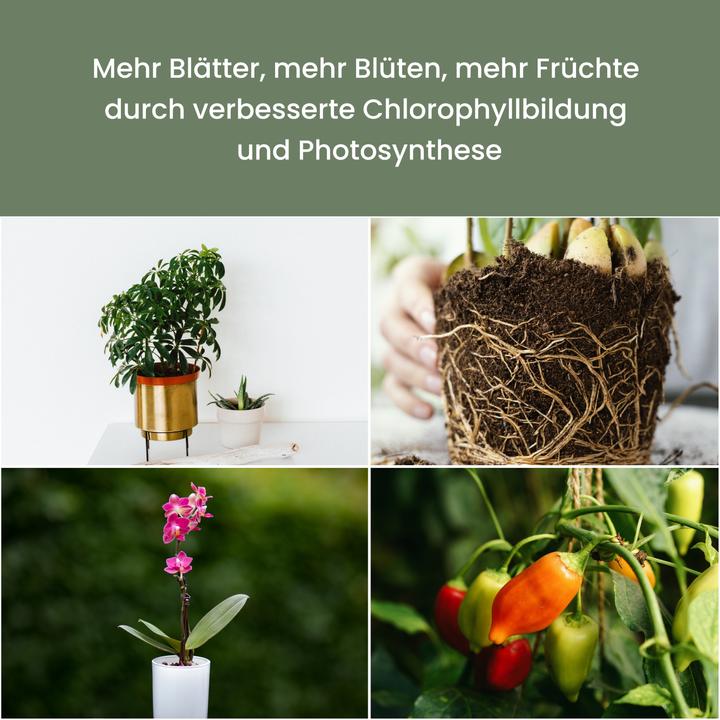 Actual product image Colibri SUNLiTE white (LED, 230 V)
