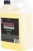 Produktbild Postquam Kräutershampoo (5000 ml) (5000 ml)