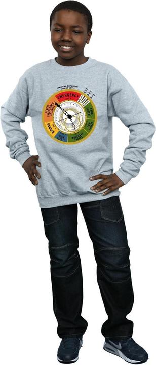 Image du produit Fantastic Beasts - Sweat THREAT LEVEL - Garçon (116)