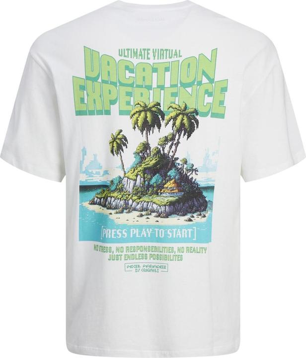 Immagine prodotto Jack & Jones T-shirt stampata con scollo rotondo (XL)
