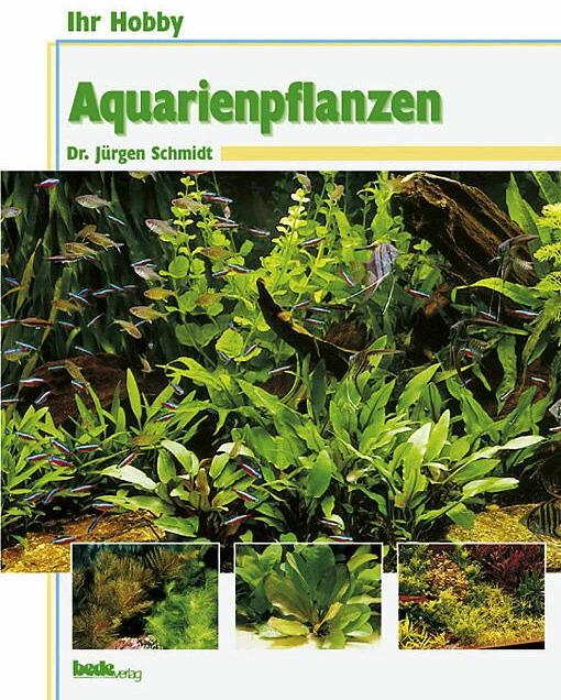Immagine prodotto Ihr Hobby Aquarienpflanzen (Tedesco, Jürgen Schmidt, 1997)