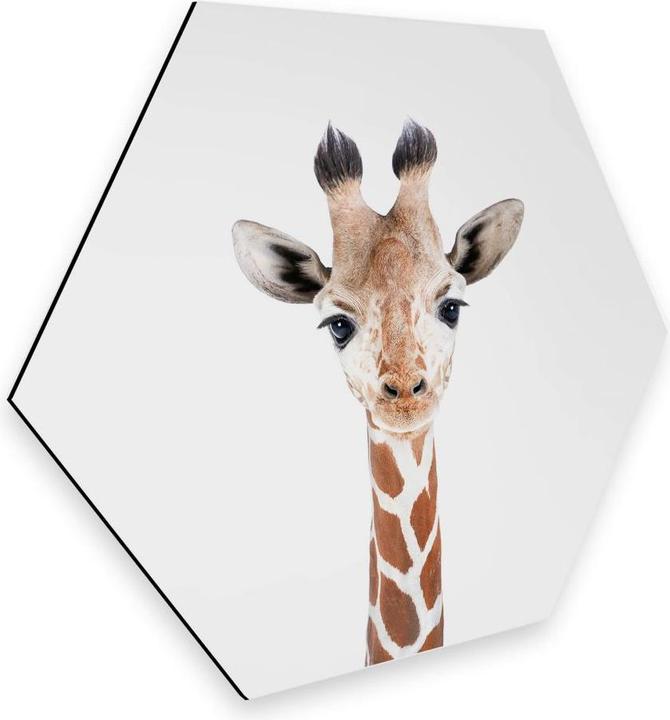 Image du produit Trenddeko Bébé girafe (35 x 30 cm)