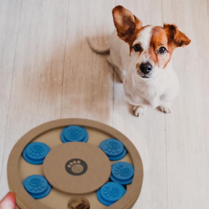 Produktbild Relaxdays Hunde-Intelligenzspielzeug (Intelligenzspielzeug Hund)