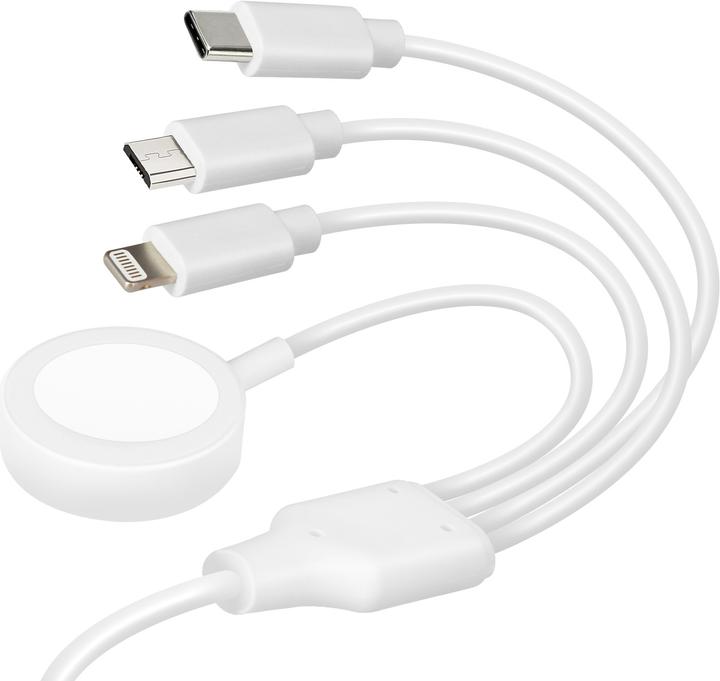 Image du produit Avizar Câble USB-C + chargeur pour Apple Watch