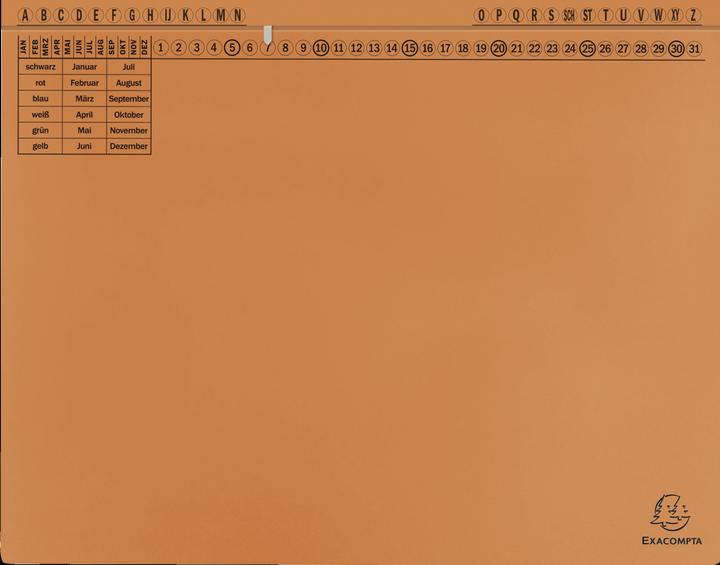 Actual product image Exacompta 25 hanging files Exaflex cardboard orange 1 x official stapling / commercial stapling (A4, 200 x)