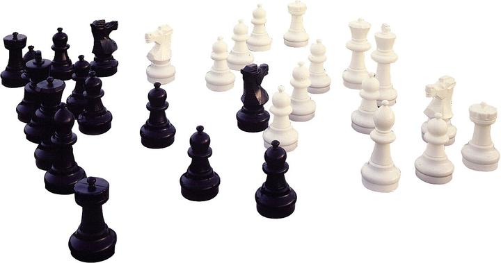Actual product image Rolly Toys Large chessmen