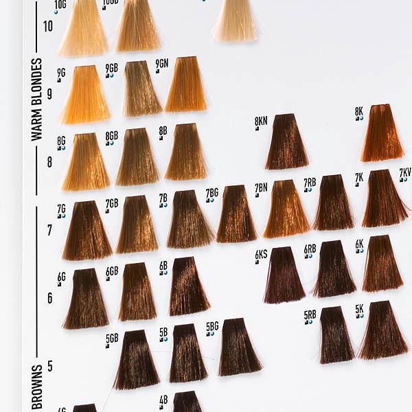 Produktbild Goldwell GW Farbkarte Topchic/ TC/ Colorance