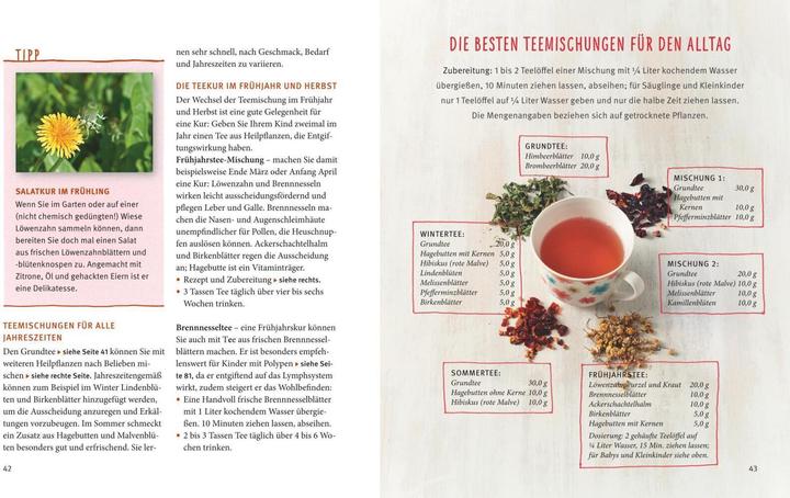 Produktbild Kinderkrankheiten natürlich behandeln (Deutsch, Georg Soldner, 2014)