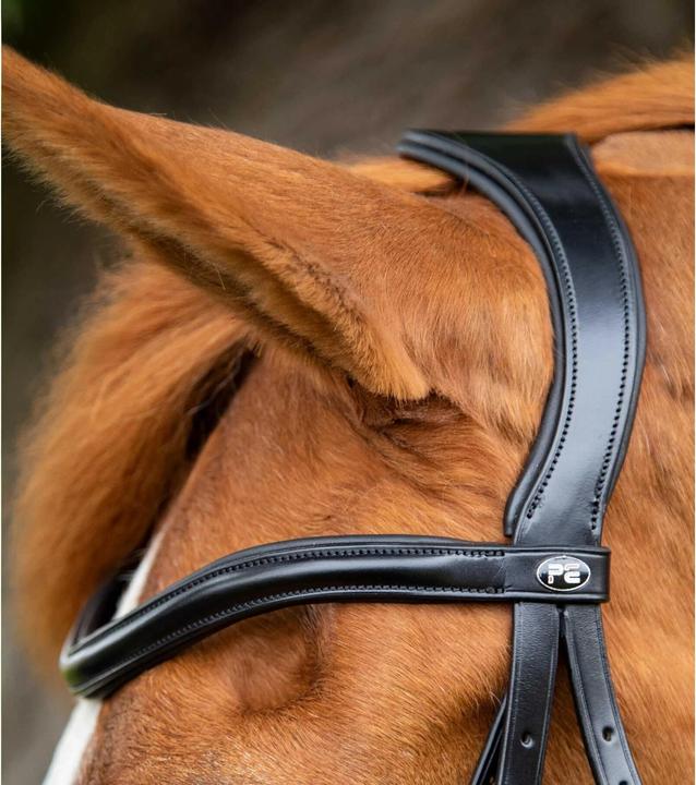 Immagine prodotto Premier Equine Glorioso