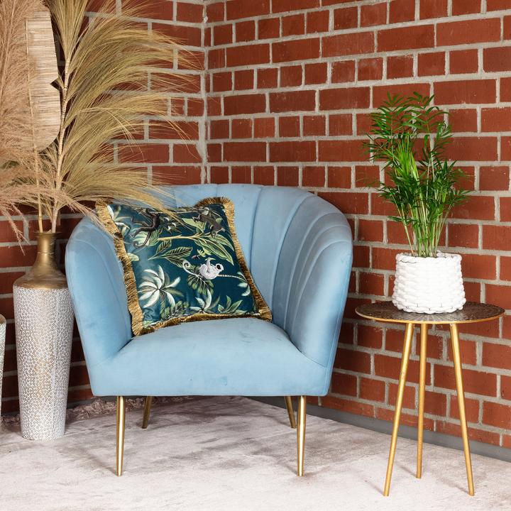 Produktbild Flowerbox Bergpalme - Chamaedorea elegans (35 cm)
