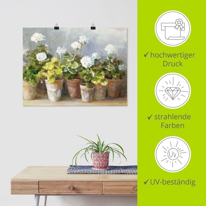 Produktbild Artland Weisse Geranien B2HY (80 x 60 cm)