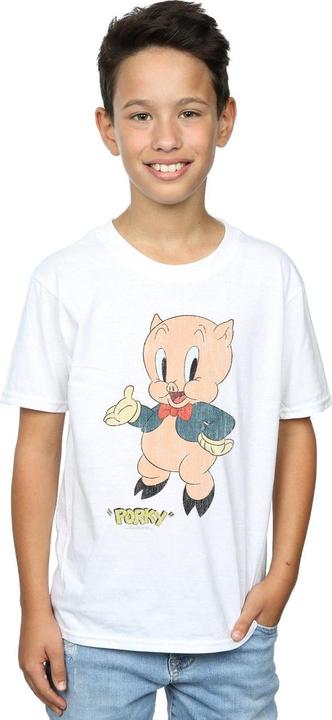 Actual product image Looney Tunes Boys Porky Pig Distressed T-Shirt (140, 146)