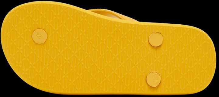 Image du produit hummel Flip Flop Jr (39)