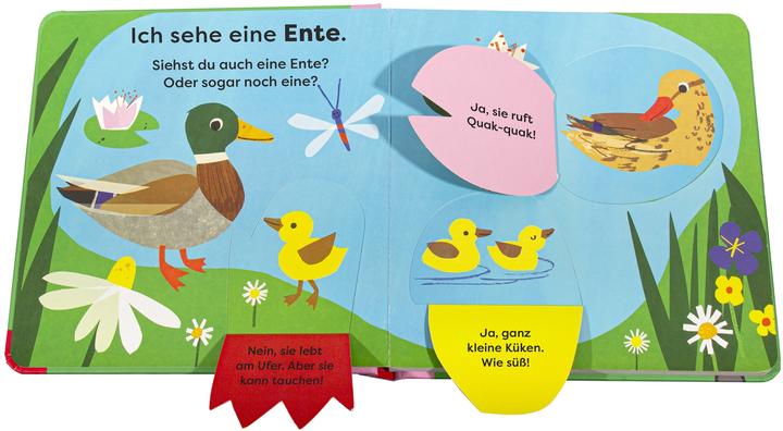 Produktbild Mein erstes Natur-Entdeckerbuch. Da! Eine Ente (Deutsch)
