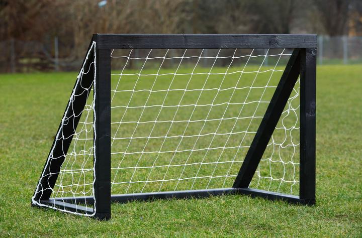 Immagine prodotto Euro Play Homegoal Pro Micro - Ordinamento