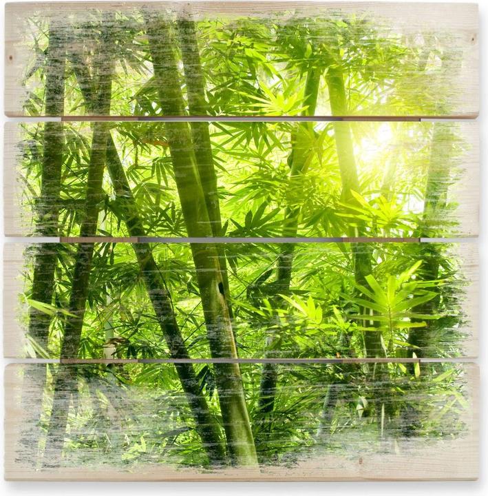 Image du produit Trenddeko Soleil dans la forêt de bambous (40 x 41,5 cm)