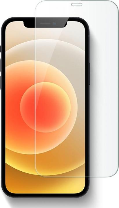 Screenguard Protective Glass (1 Piece, Apple iPhone 13)