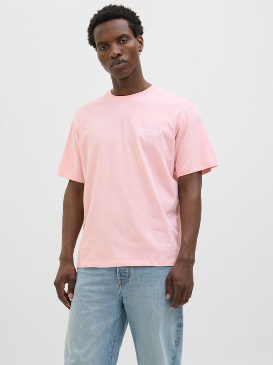 Actual product image Jack & Jones Jorbotaniq Tee Ss Crew Neck Tg Ln (XXL)