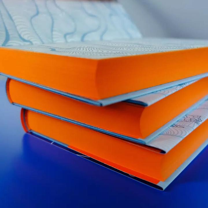 Image du produit Dormez bien, vilaines pensées (Allemand, John Green, 2017)