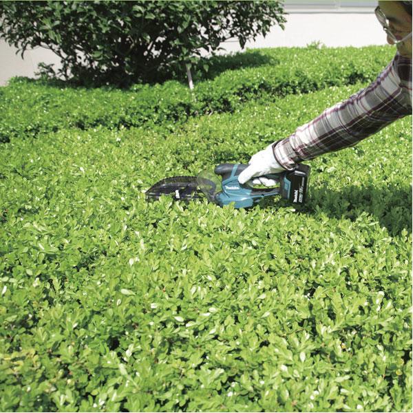 Actual product image Makita Dum604zx (Cordless hedgecutters)