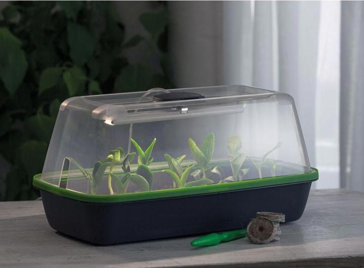 Actual product image Romberg LED plant lighting, 20 cm, 5 watt (LED)