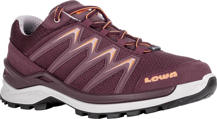 Immagine prodotto Lowa Innox Pro GTX LO (41.5)