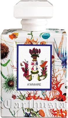 Actual product image Carthusia A'mmare (Eau de parfum, 100 ml)