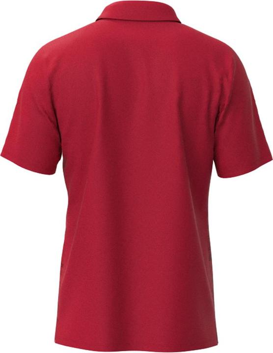Actual product image Mizuno Chiba Polo M (L)
