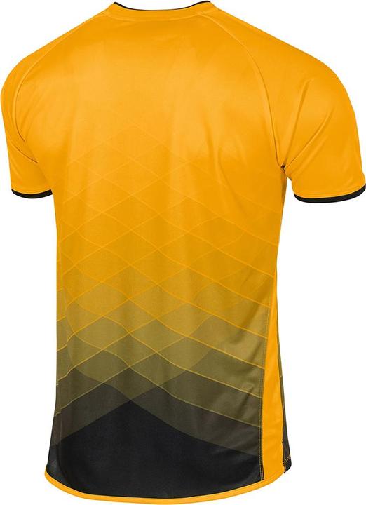 Actual product image Stanno Altius Jersey (176)
