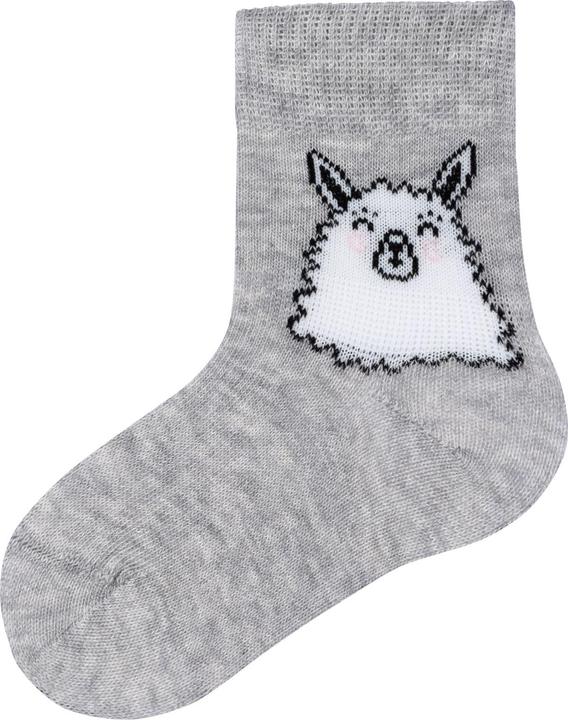 Actual product image Camano Socken motiv (pack of 8, 18)