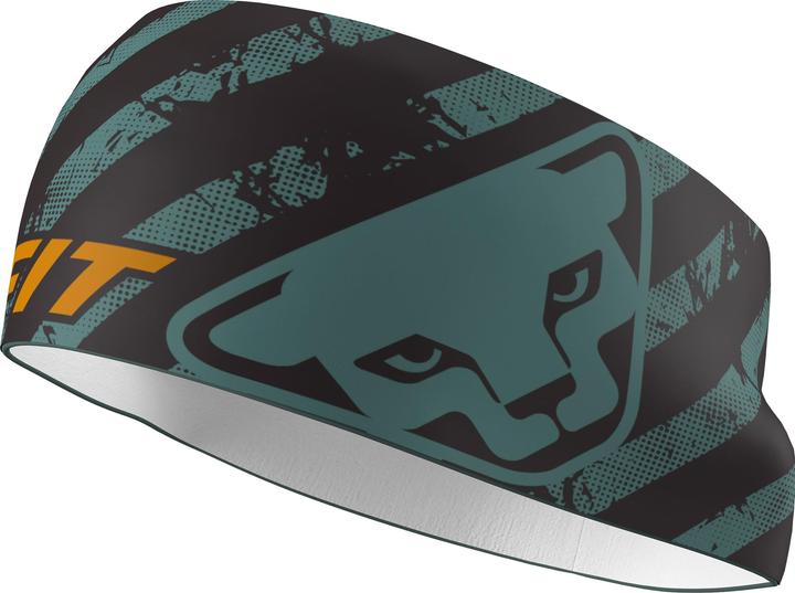 Dynafit Graphic Performance Headband Stirnband