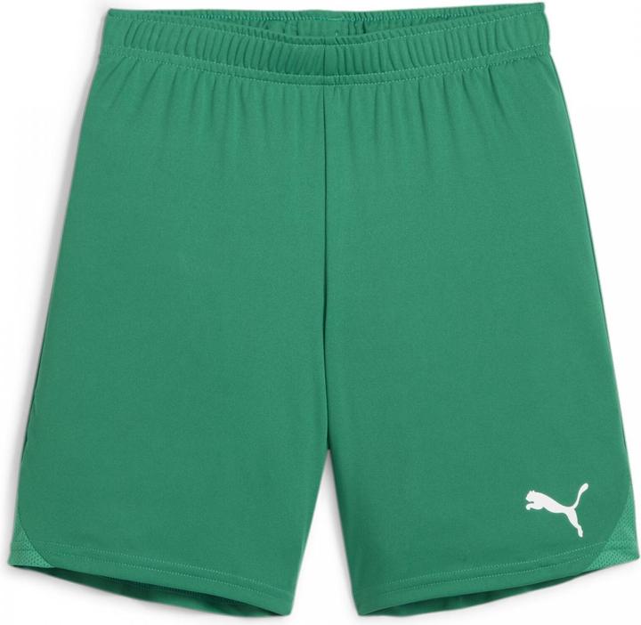 Produktbild Puma teamGOAL Shorts Jr (140)