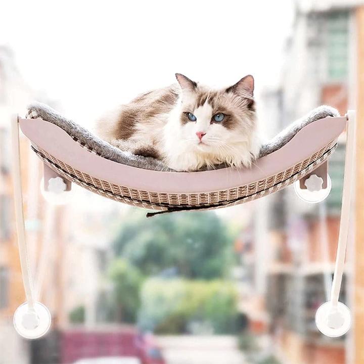 Immagine prodotto Hermex Letto per gatti amaca appesa Cesto per gatti Nido per gatti Divano per gatti grigio (Gatto)