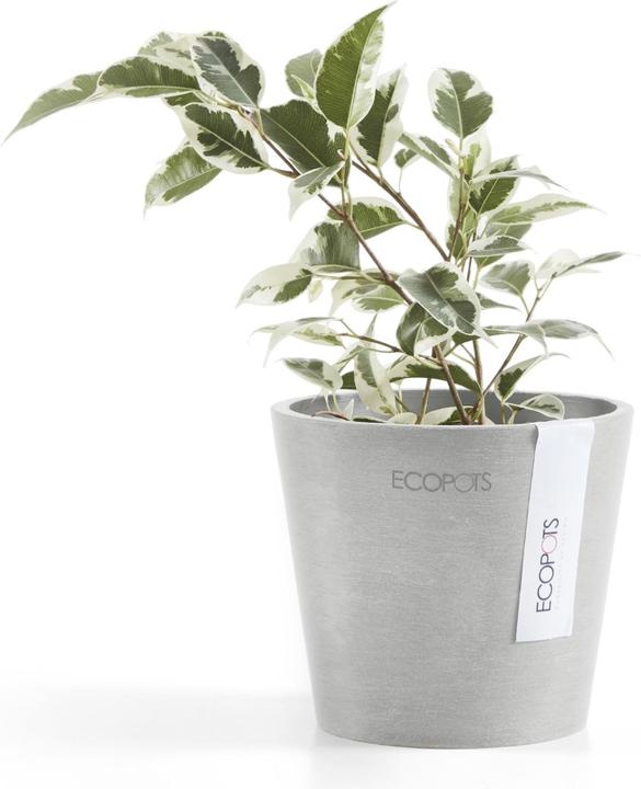 Image du produit Ecopots Amsterdam Mini (10.50 cm)