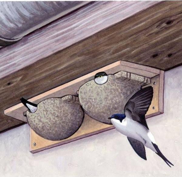 Actual product image Siena Garden House Martins Double nest