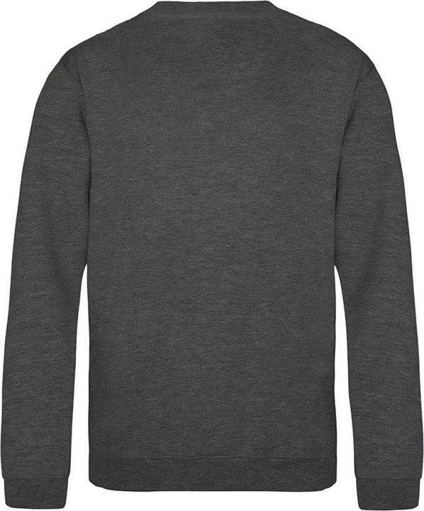 Produktbild Awdis Sweatshirt (140, 146)