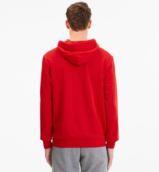 Actual product image Puma TeamGoal 23 Casuals Hoodie Men (XL)