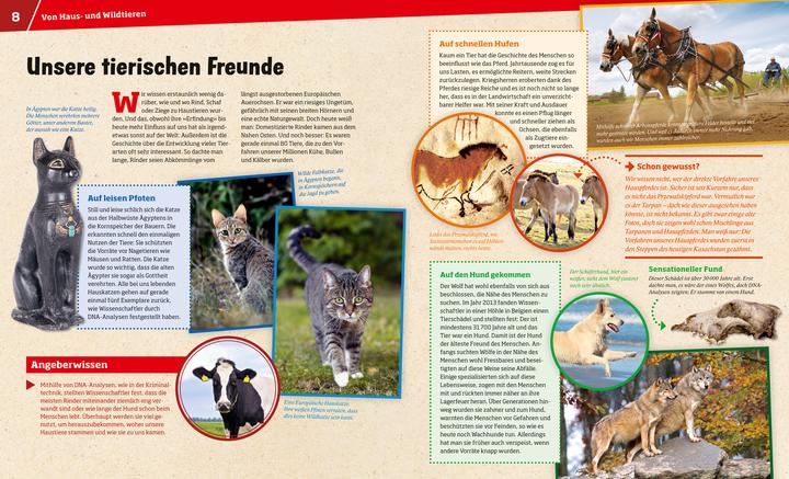 Actual product image Tessloff Haustiere. Unsere liebsten Freunde (German, Annette Hackbarth, 2018)