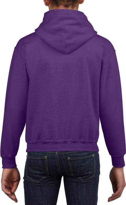 Image du produit Gildan Sweat-shirt à capuche (XL)