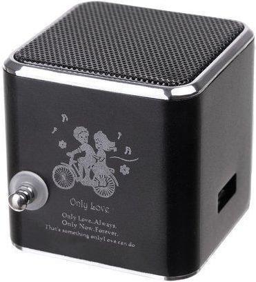 Actual product image Roger Bluetooth Wireless Speaker with FM Radio (Rechargeable battery operated)