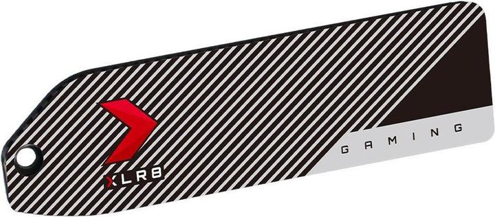 Actual product image PNY CS3140 (1000 GB, M.2 2280)